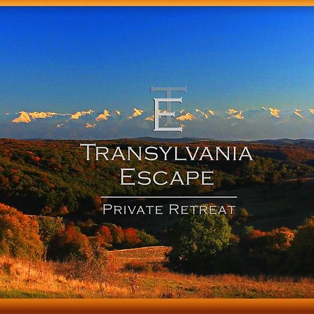 Transylvania Escape Leilighet Richisu Eksteriør bilde