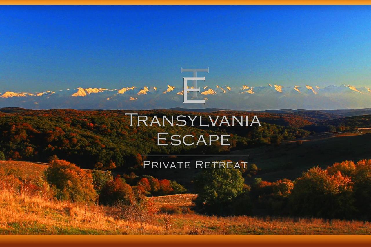 Transylvania Escape Leilighet Richisu Eksteriør bilde