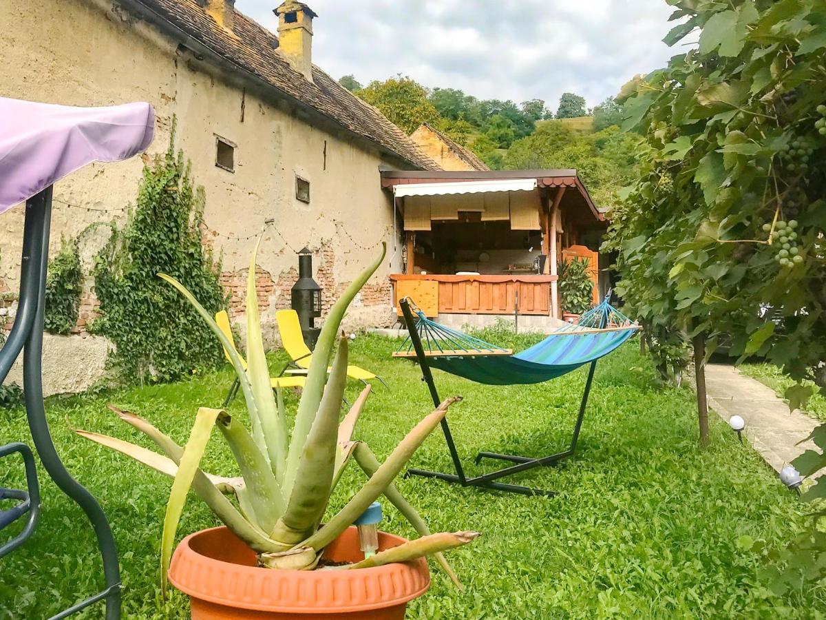 Transylvania Escape Leilighet Richisu Eksteriør bilde