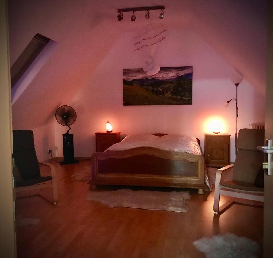 Transylvania Escape Leilighet Richisu Eksteriør bilde